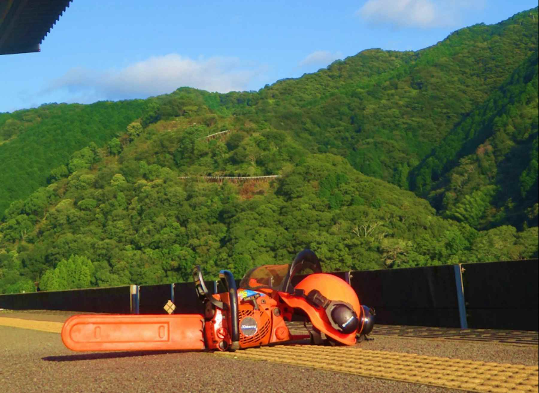 \自伐型林業の先進地!!/高知県で自伐林家になりませんか?まずは『すくも森林塾ツアー』で林業体験!移住スカウトサービス