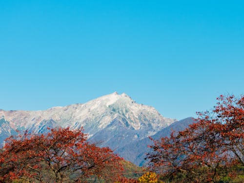 雪と紅葉、冬と秋。季節の移り変わりが五感で感じられる暮らし。