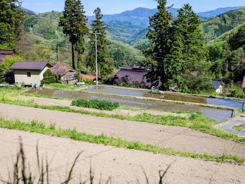 のどかな山間部