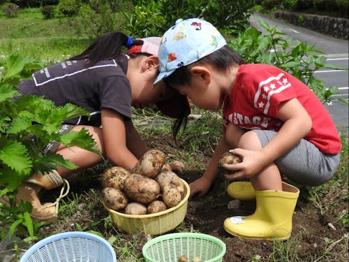 自然の中でのびのびした暮らしを実現できます。