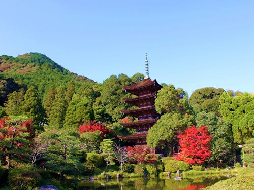 いきたいところを投票で決めるコーナーもあります。