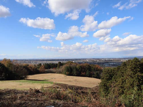 町を一望できる箇所からの風景
