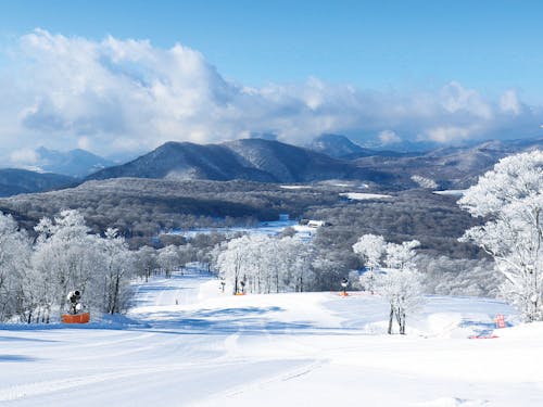 冬の玉原(たんばら) 市街地も雪が降ります