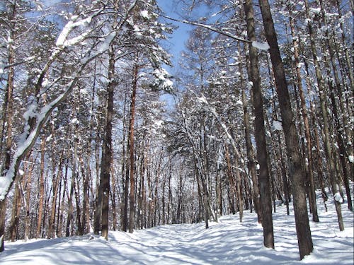 大自然が遊び場!