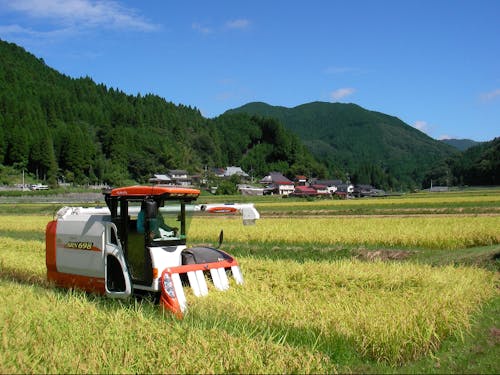 田園風景が広がります。