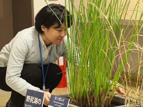 植物や昆虫など様々な専門家と一緒に、興味深い話が聴けるのもここならでは。こちらは自然分野担当の関学芸員