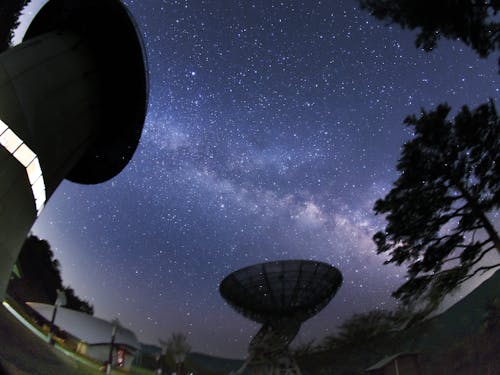 相談会実施市町村:紀美野町