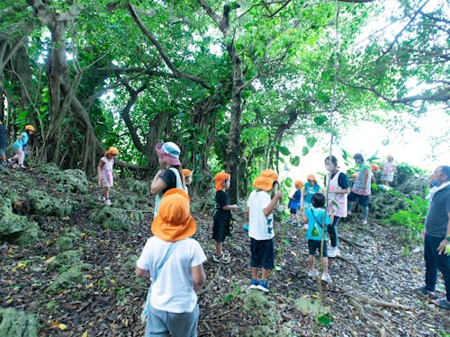 自然がせんせい！土や森、海などの自然が身近