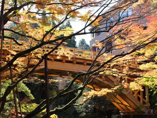 加賀市のこおろぎ橋