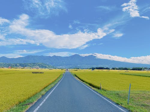 日常で目にする佐久の風景