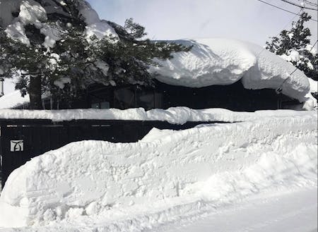 雪に覆われたカフェの様子