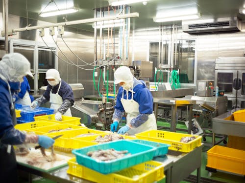 CAS凍結センター