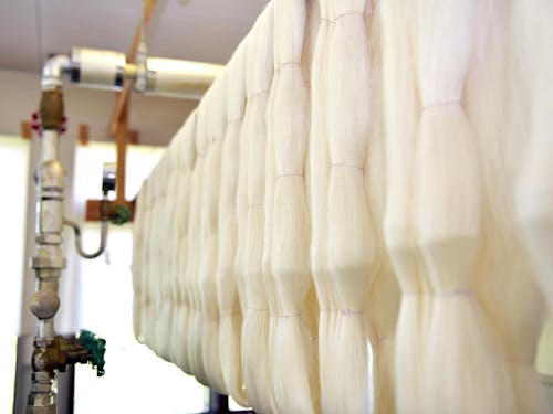 伊予生糸（カメリア）