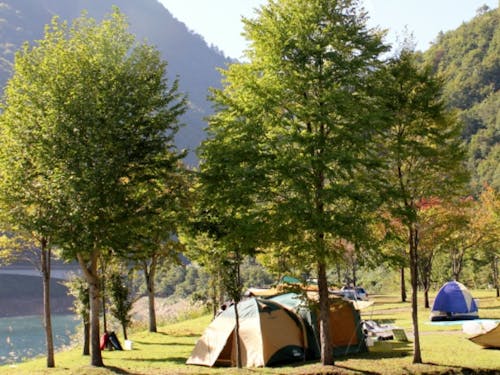 オートキャンプ、コテージ泊の他、カヌー遊びや流木拾いもできる！