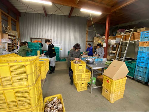 スタッフ一丸となり農業に取り組んでいます。