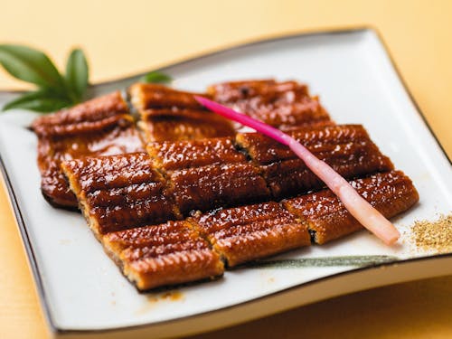 四万十市/うなぎ