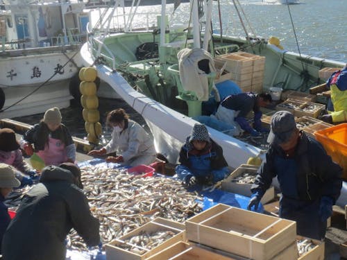 漁業も盛んな町です