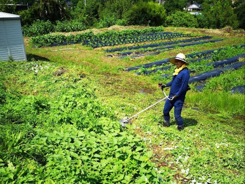 一人はサミシイ...