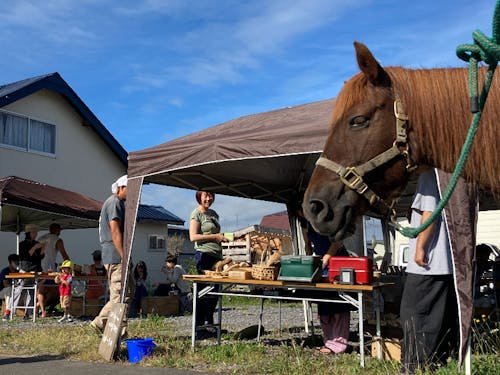 町民主体の小さなイベントもアチコチで。町在住の道産子馬ハナちゃんも参加!