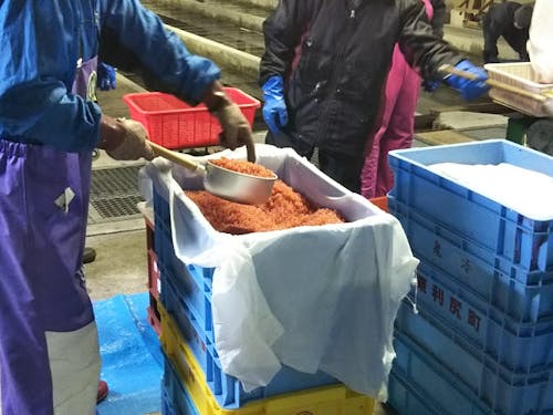 量や温度など細かな変化で影響する繊細な作業です。