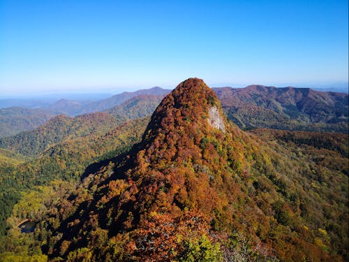 伝承野菜や風習、雪国の暮らし文化、自然など、町の魅力に触れる機会も沢山あります