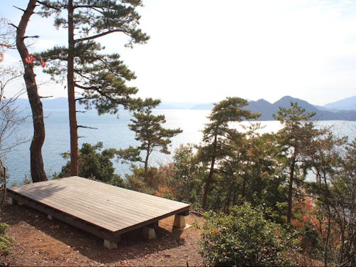 敷地内からは海も見ることが出来ます！