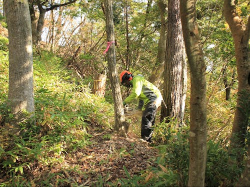 沢山の自然に囲まれた職場になります！