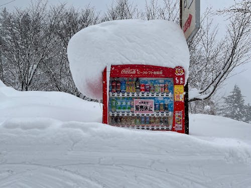 こーゆーのを笑って楽しめる人は強い