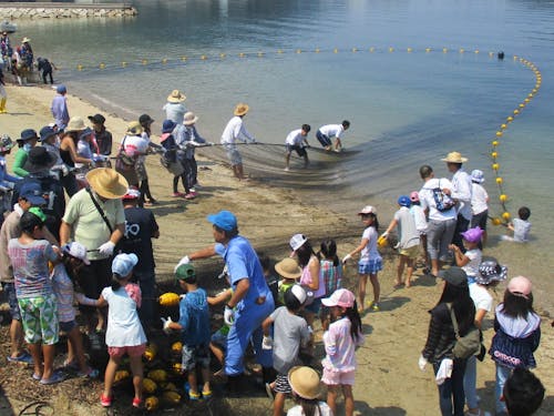 「海の幸」「漁業」の魅力創出推進員（イメージ）
