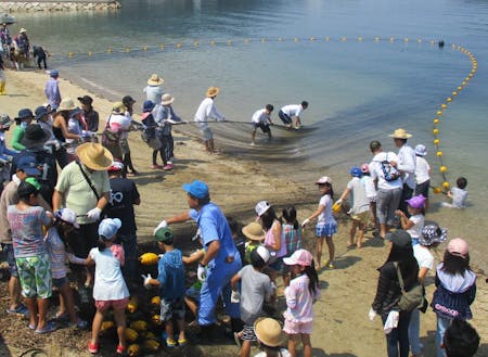 「海の幸」「漁業」の魅力創出推進員(イメージ)