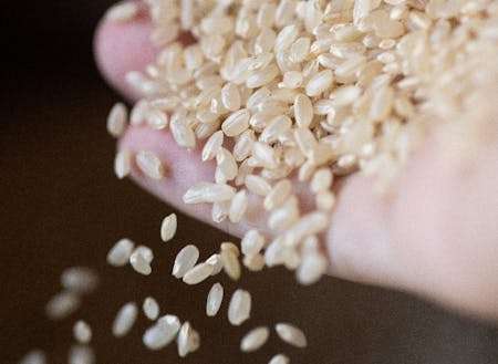 ノベルティのお米は豊岡市のブランド米