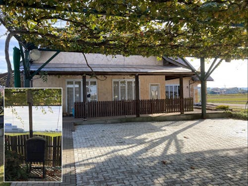 ぶどう園に併設されているバーベキュー場（屋根はブドウの木）