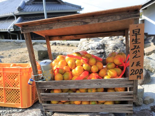 島みかんの無人販売