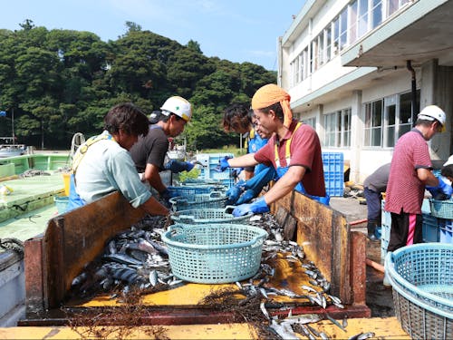 島らしい場所への案内