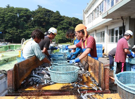 島らしい場所への案内