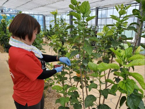 展示棟は気温調節が重要