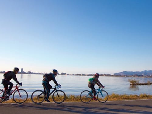 霞ケ浦沿いのりんりんロードでは、サイクリングを楽しむことも