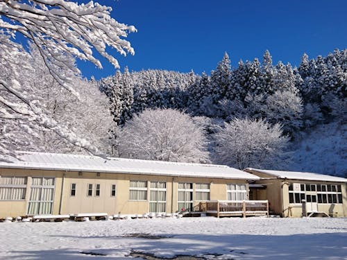 廃校の分校を利活用した「ふるさとカフェ矢塚分校」