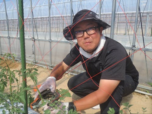 白岩 洋氏(新規就農2年目:ミニトマト農家)