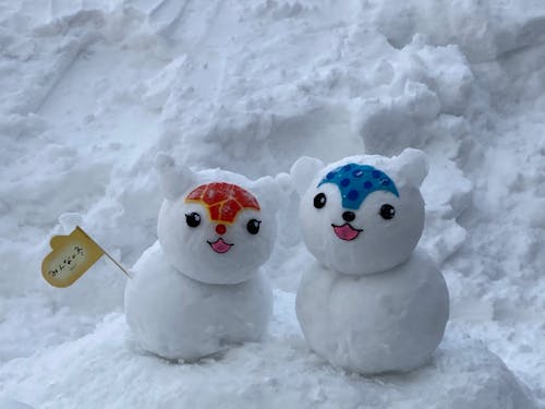 あさっぴー&ゆっきりん(ゆるきゃら)も雪だるまで応援