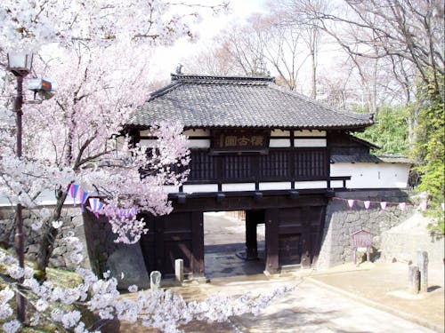 小諸市の名所「小諸城址　懐古園」