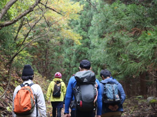 陸前高田の魅力②山もあり