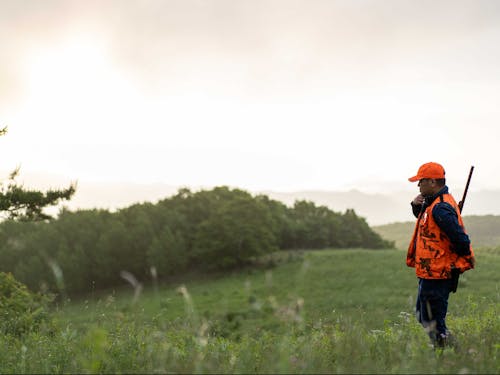 大槌の新山高原をフィールドに、大自然で大槌鹿を狩猟します