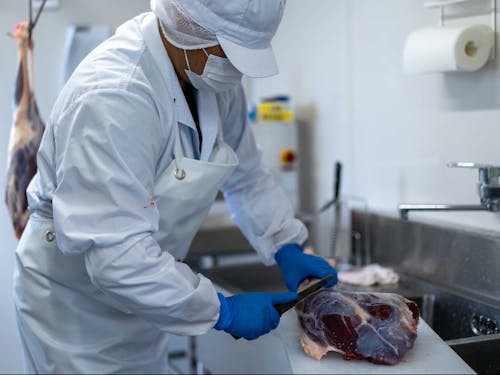 新しい食肉加工工場で、素早く丁寧に大槌鹿を捌きます