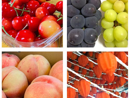 旬のくだものが季節を通して味わえます!