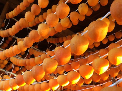 あんぽ柿発祥の地です！