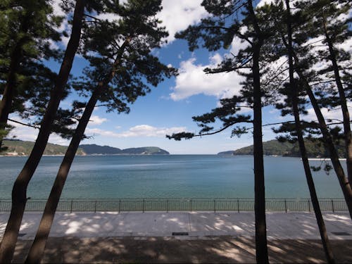 根浜海岸からの眺め。SUP体験や、近くのキャンプ場でキャンプやBBQが楽しめます!