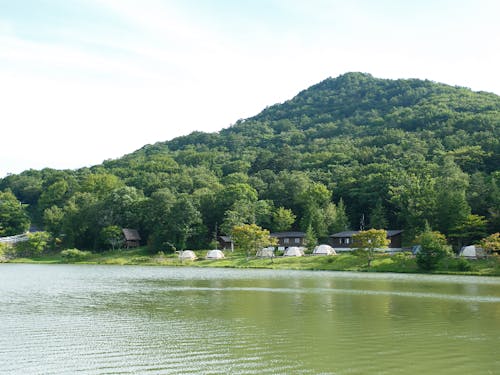 自然に囲まれたロケーションのキャンプ場