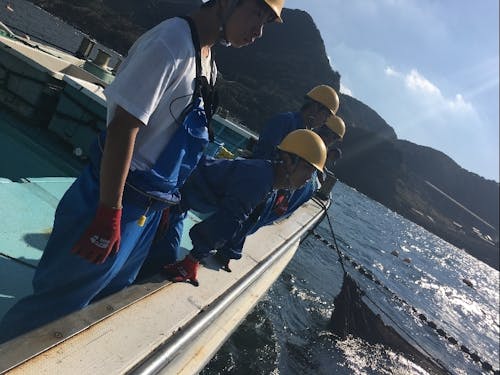 高校生の漁業研修