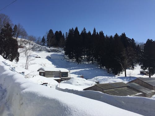 冬には雪がたくさん降る地域